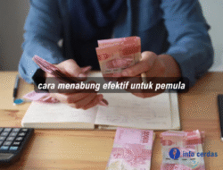 Cara Menabung Efektif untuk Pemula