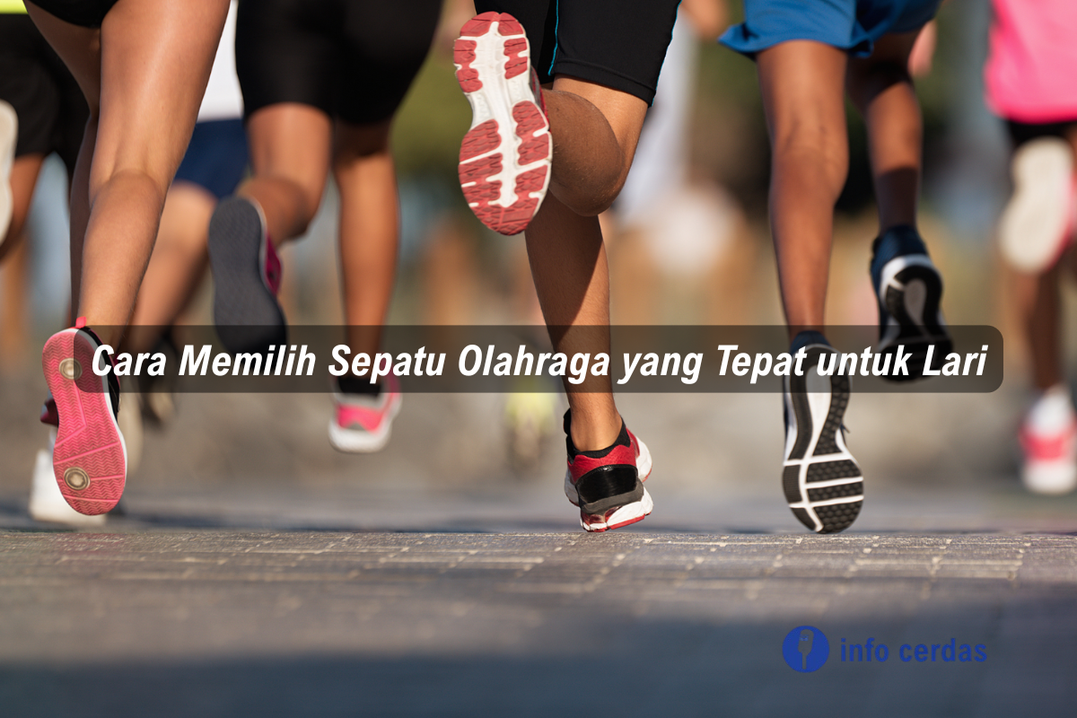 Sepatu Olahraga