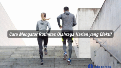 Cara Mengatur Rutinitas Olahraga Harian yang Efektif