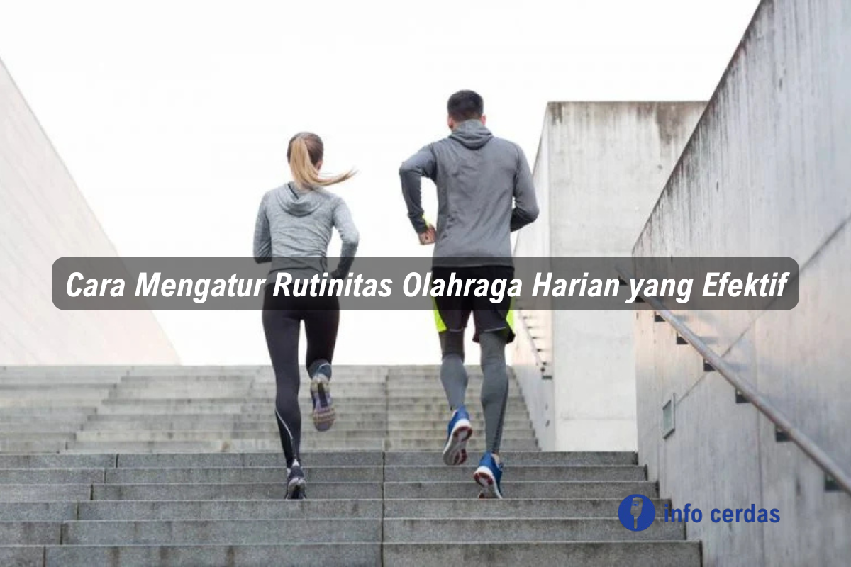 Rutinitas Olahraga Harian