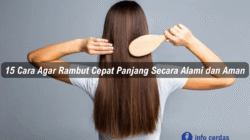 15 Cara Agar Rambut Cepat Panjang Secara Alami dan Aman